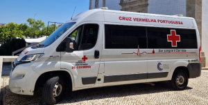 Brigadas de sangue